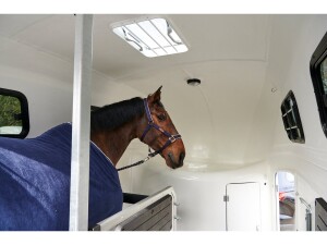 Pferdeanhänger Böckmann Champion C Esprit · 2.400 kg, 310×165 cm